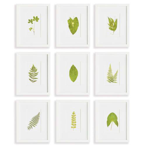 Green Leaf Petite Print Wall Art Set 9