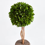 Boxwood Single Sphere Topiary Drop-In Faux Plant