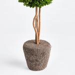 Boxwood Single Sphere Topiary Drop-In Faux Plant