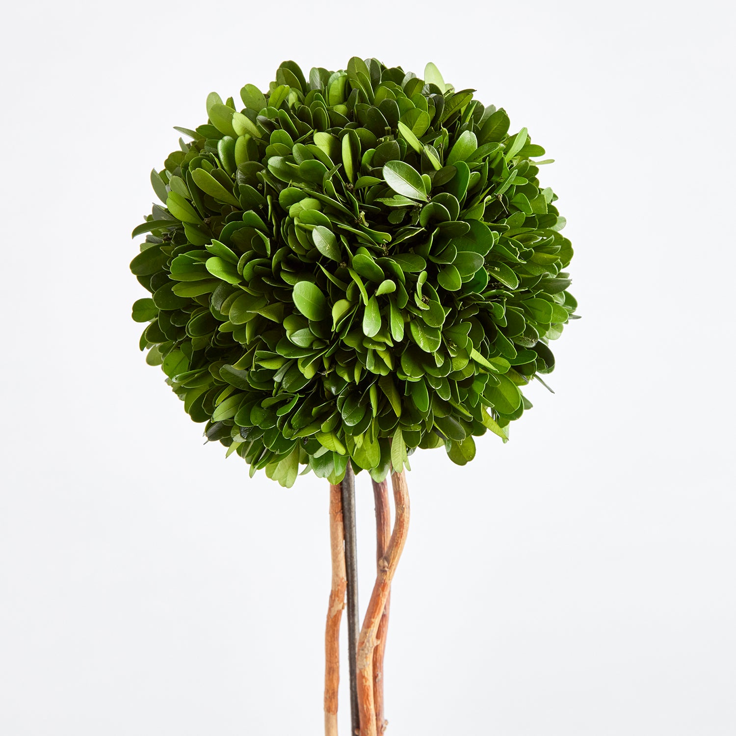 Boxwood Single Sphere Topiary Drop-In Faux Plant
