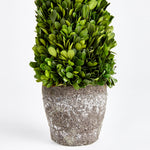 Boxwood Cone Topiary Drop-In Faux Plant
