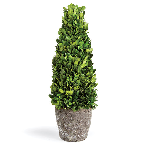 Boxwood Cone Topiary Drop-In Faux Plant