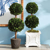 Boxwood Double Sphere Topiary Drop-In Faux Plant