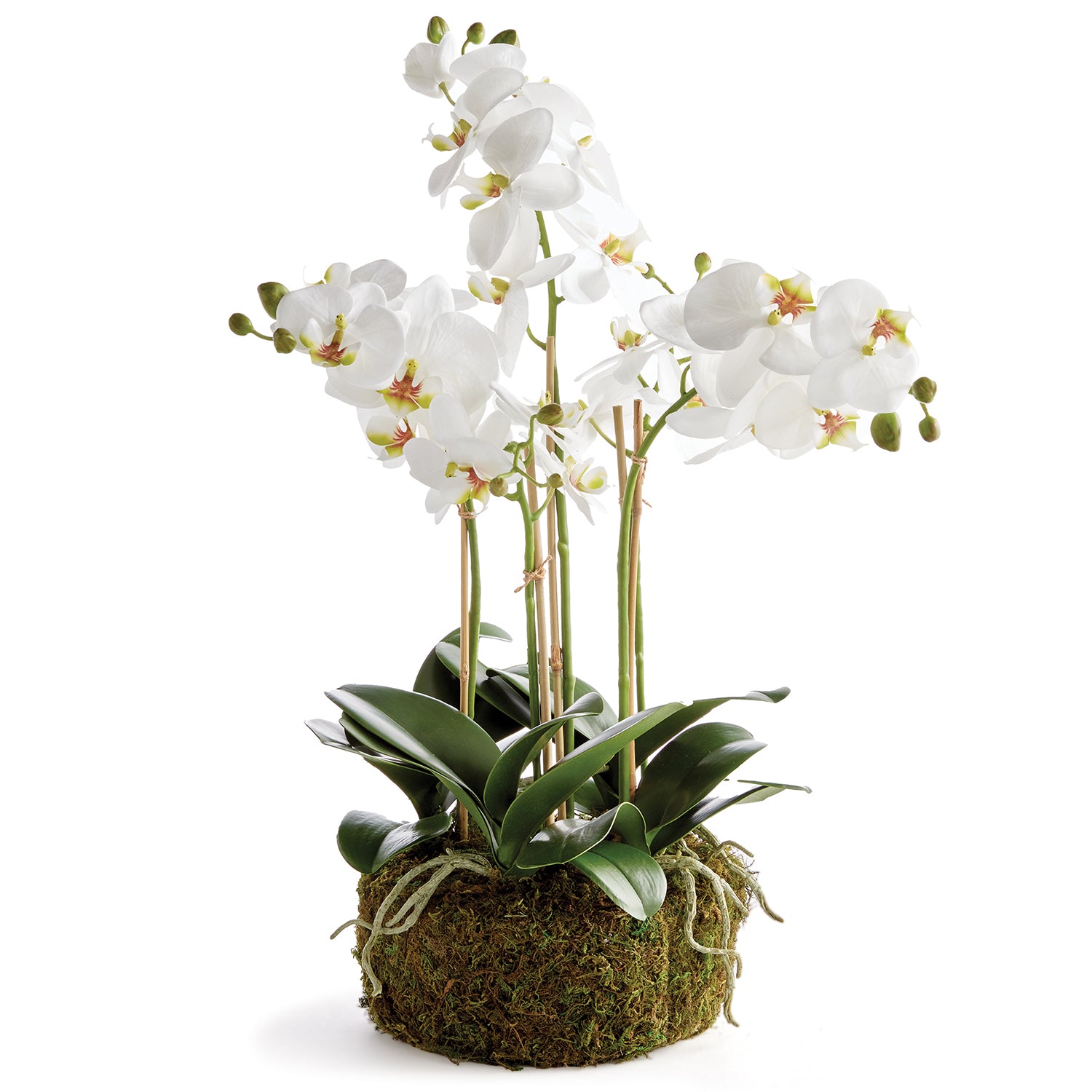 Phalaenopsis Orchid 20in Drop-In Faux Plant