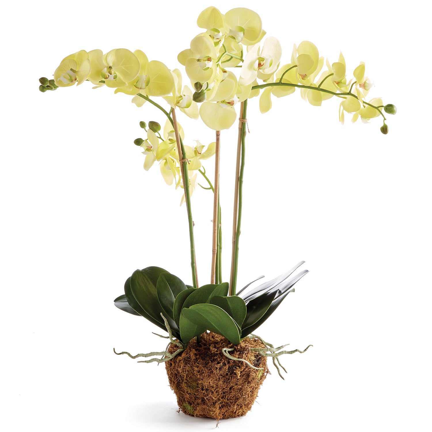 Phalaenopsis Orchid Yellow Drop-In Faux Plant