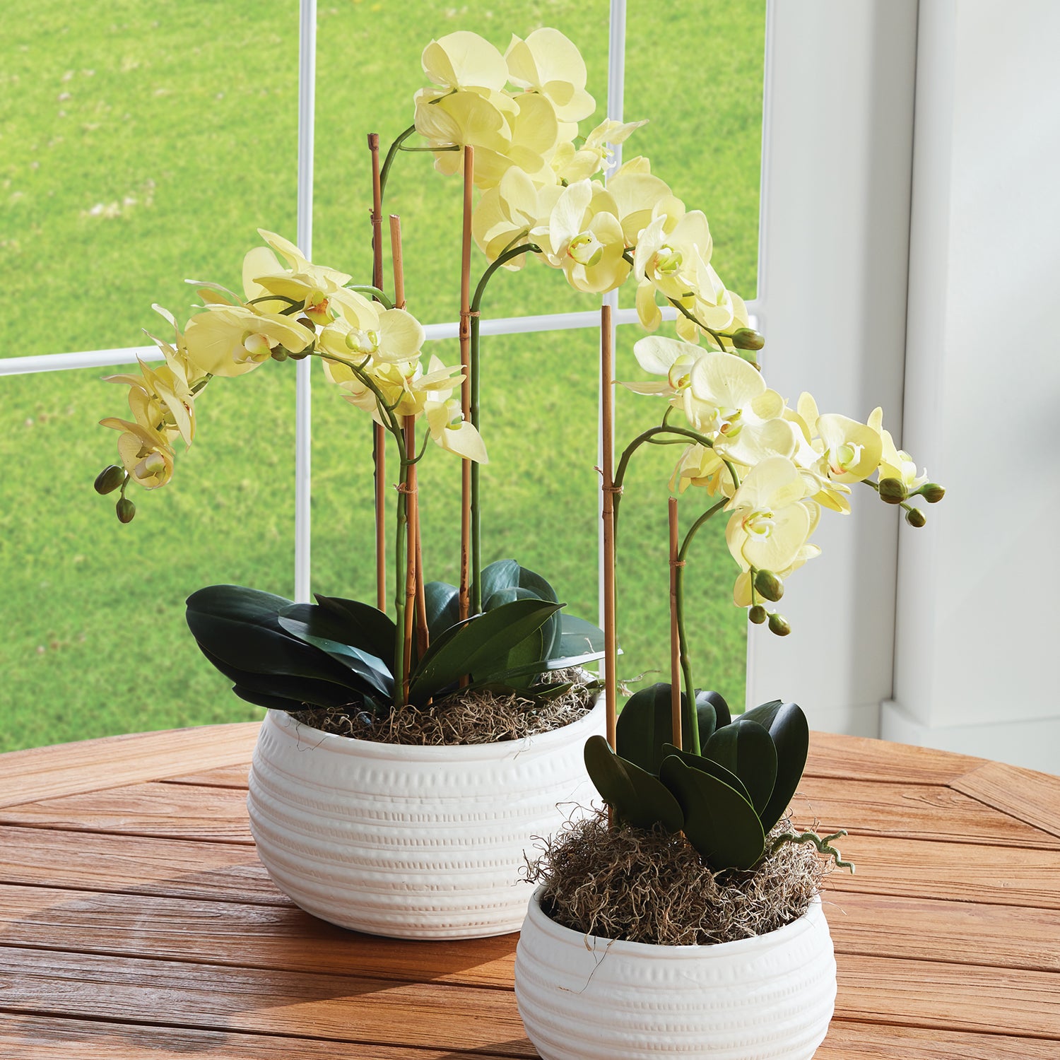 Phalaenopsis Orchid Yellow Drop-In Faux Plant