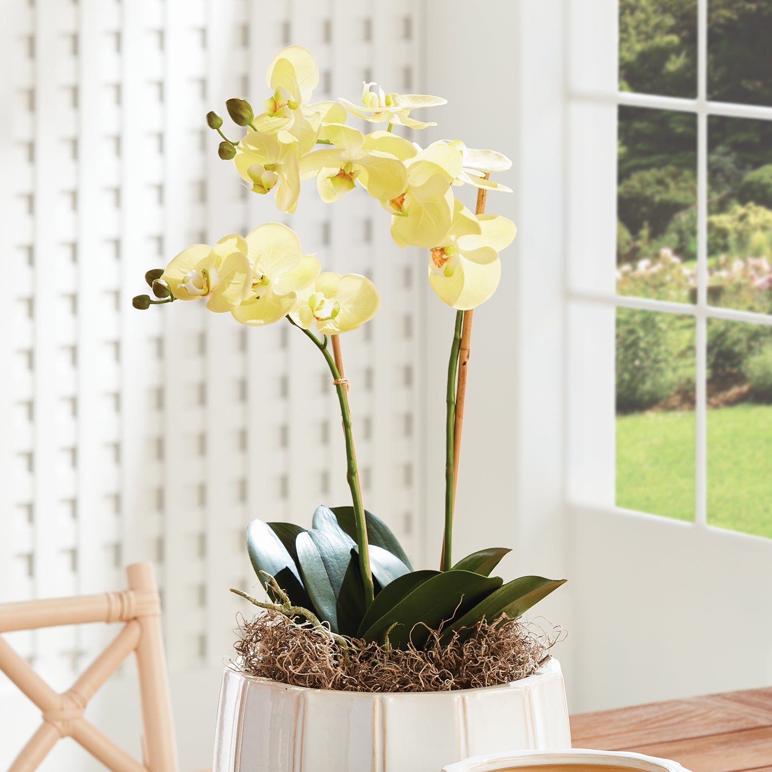 Phalaenopsis Orchid Yellow Drop-In Faux Plant