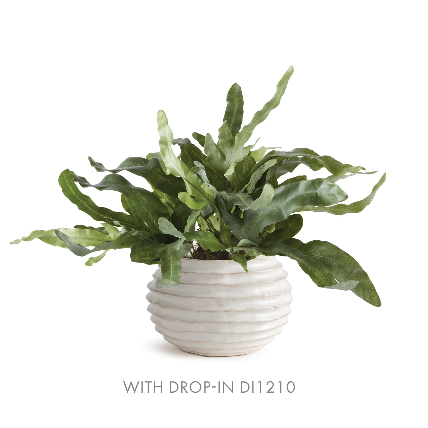 Avani White Pot