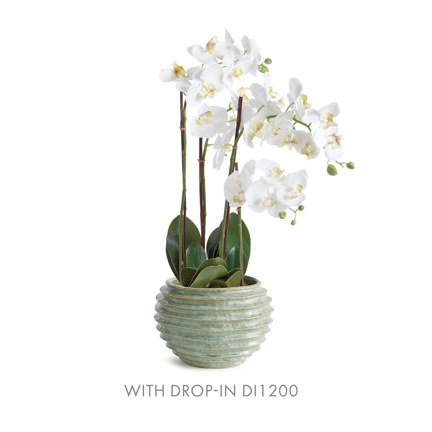Avani Green Pot