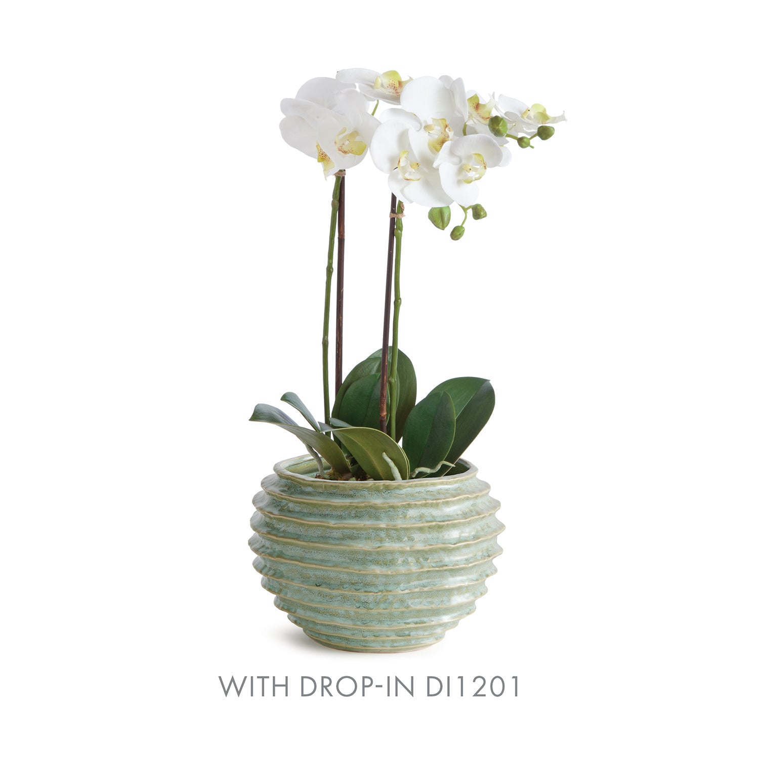 Avani Green Pot