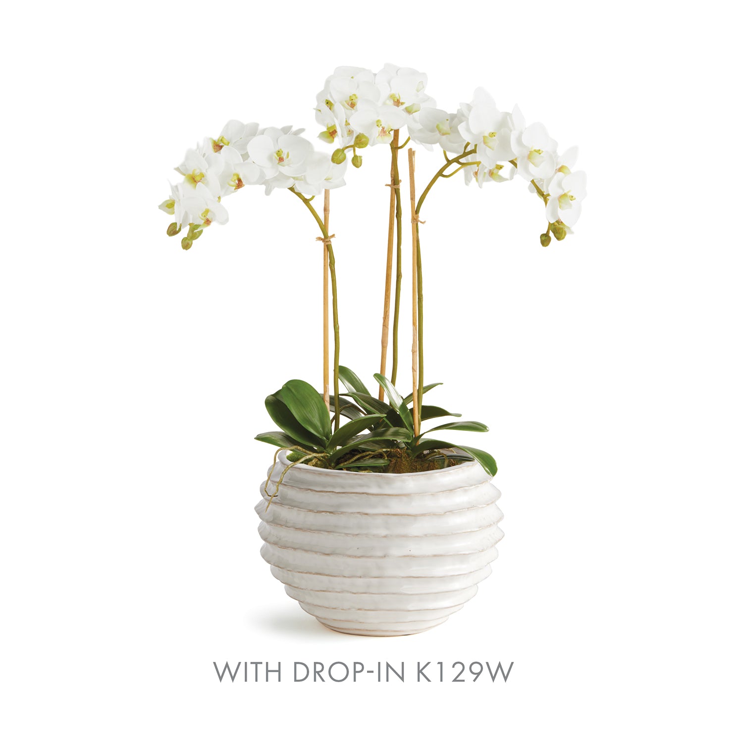 Avani White Pot