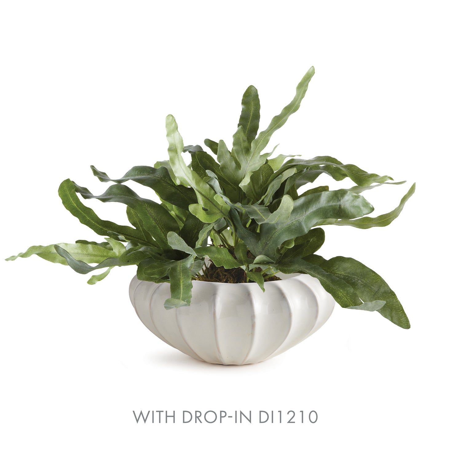 Blecklyn Large Decorative Bowl