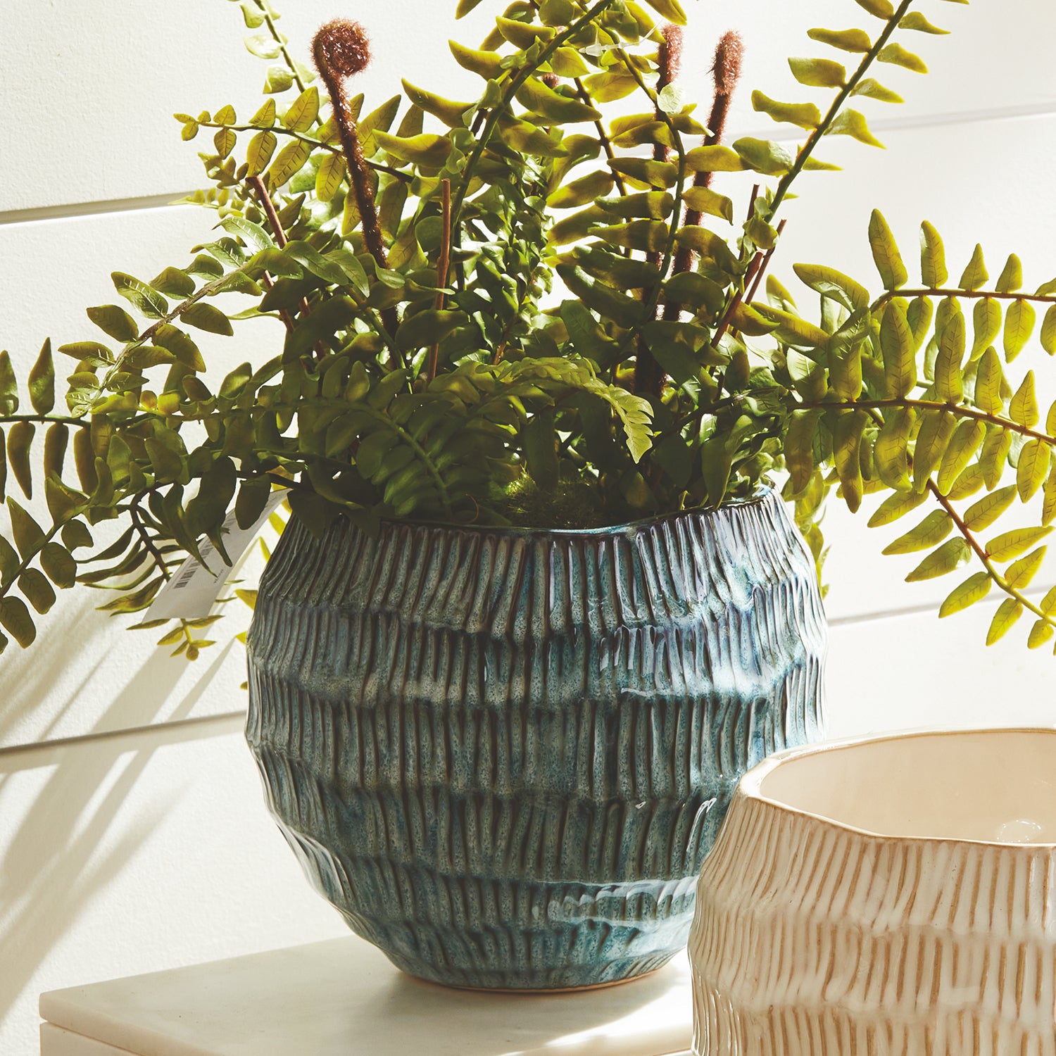 Vista Pot