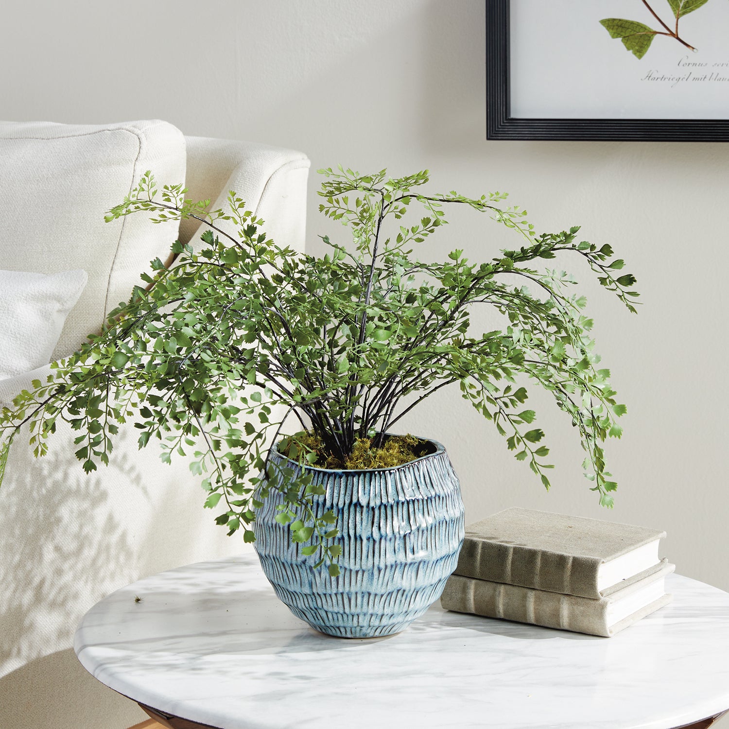 Vista Pot