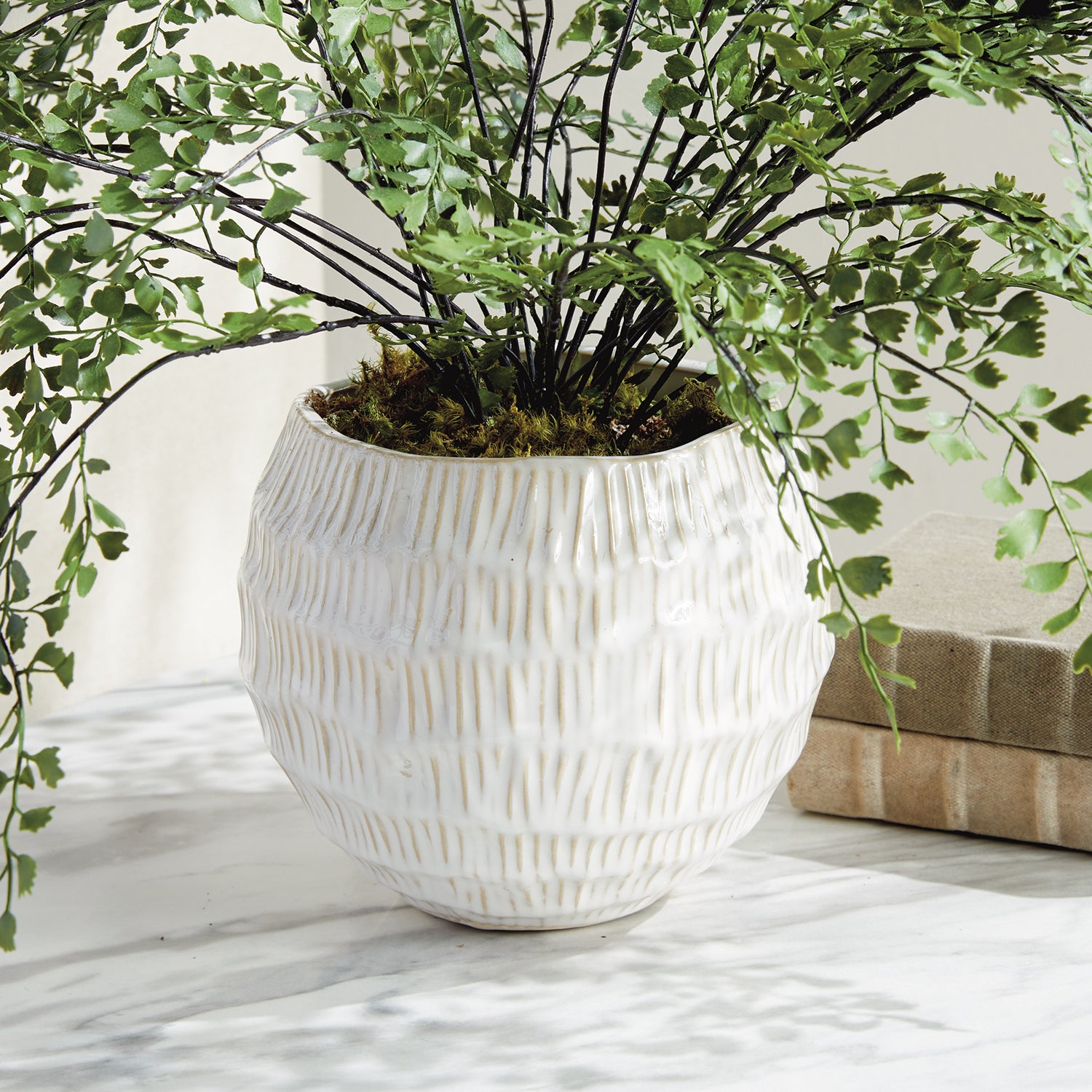 Vista Pot