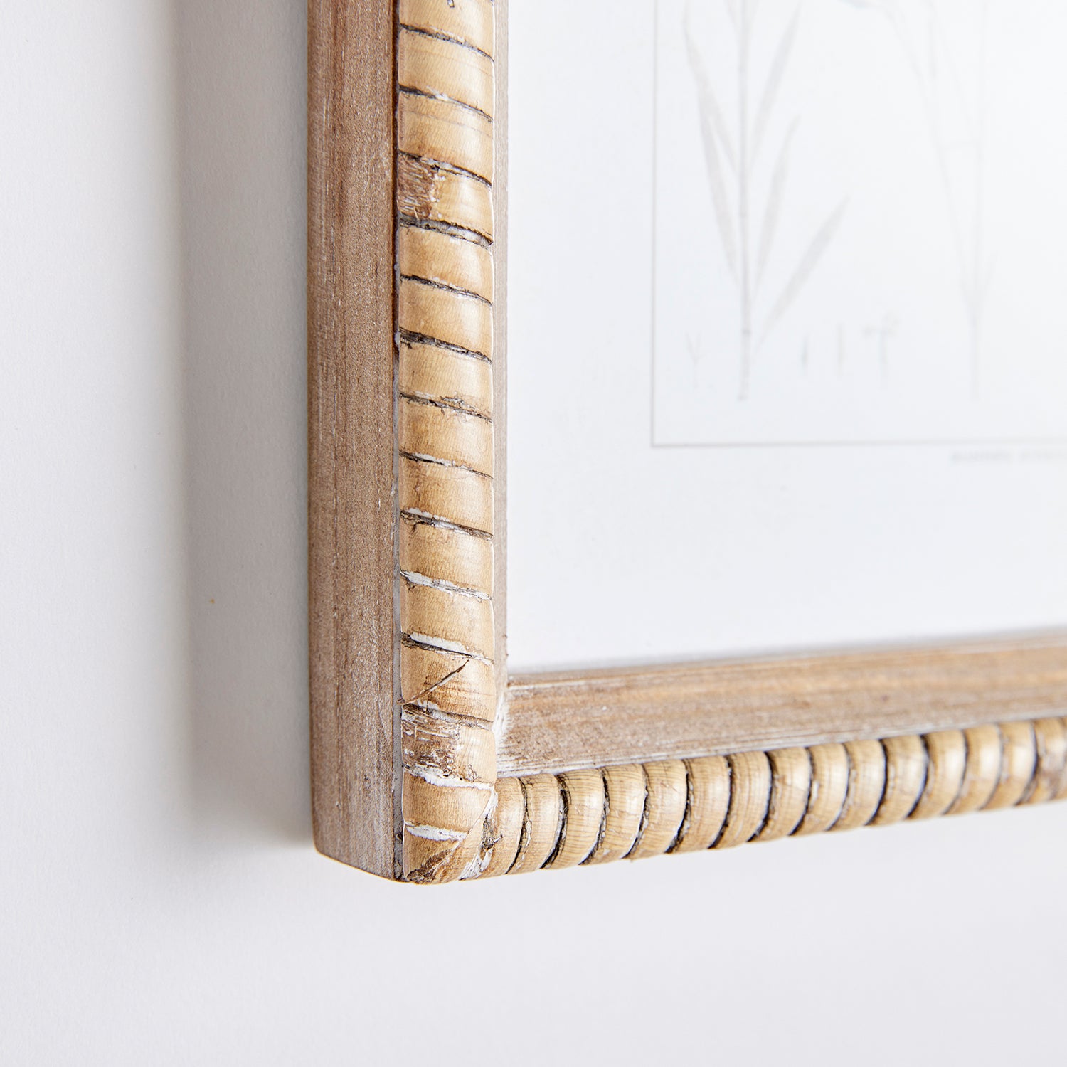 Botanical Study in Sepia Set of 9