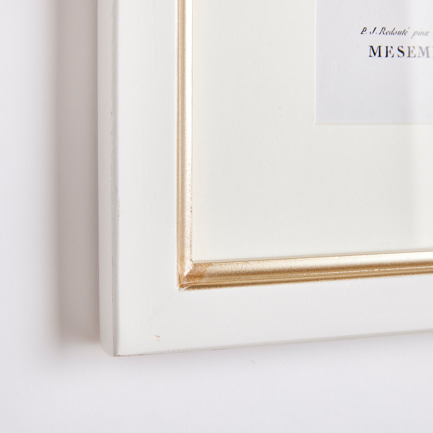 Flower Studies in Shades of Blush Set of 6