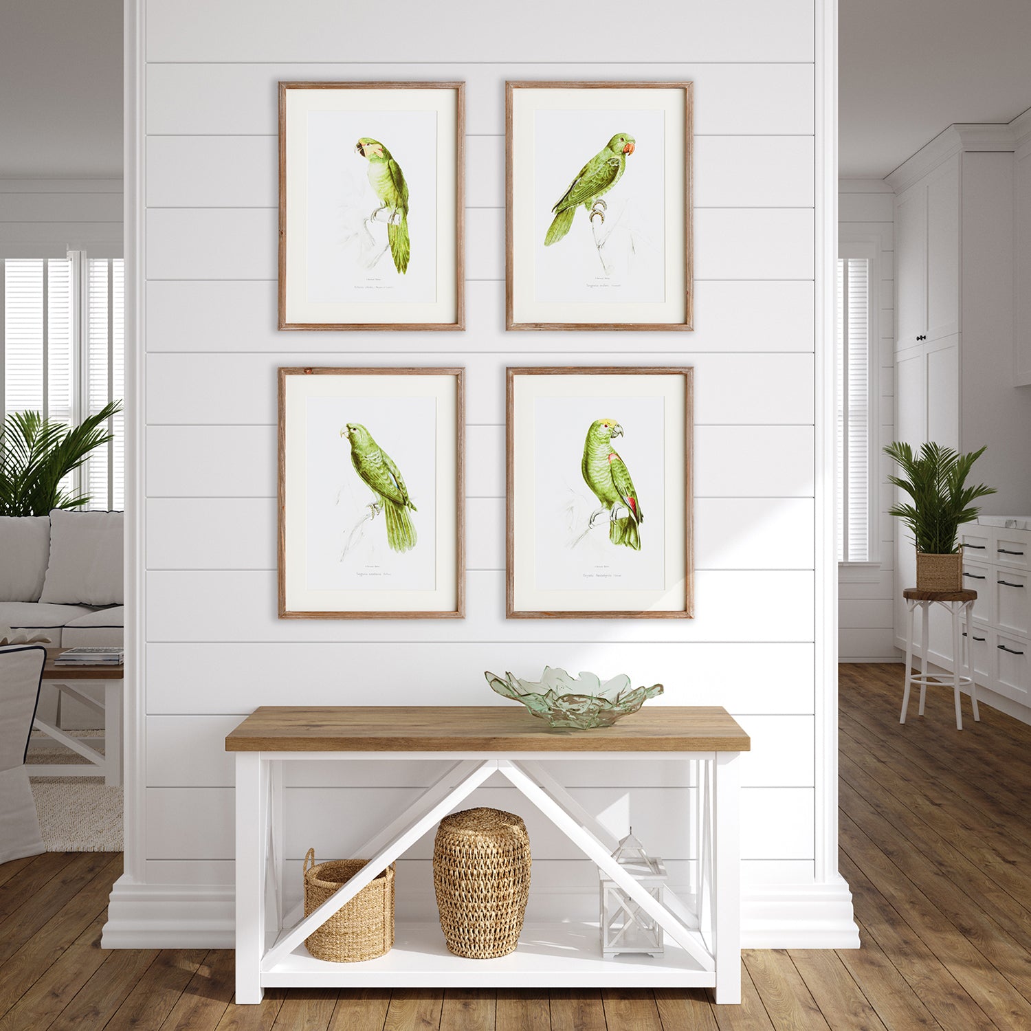 Parrot Illustrations in Green Set of 4