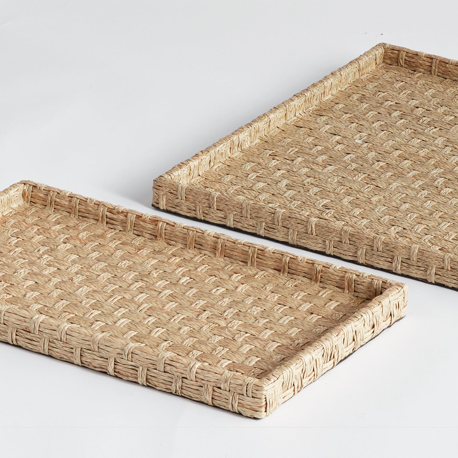 Wynn Small Tray Set of 2