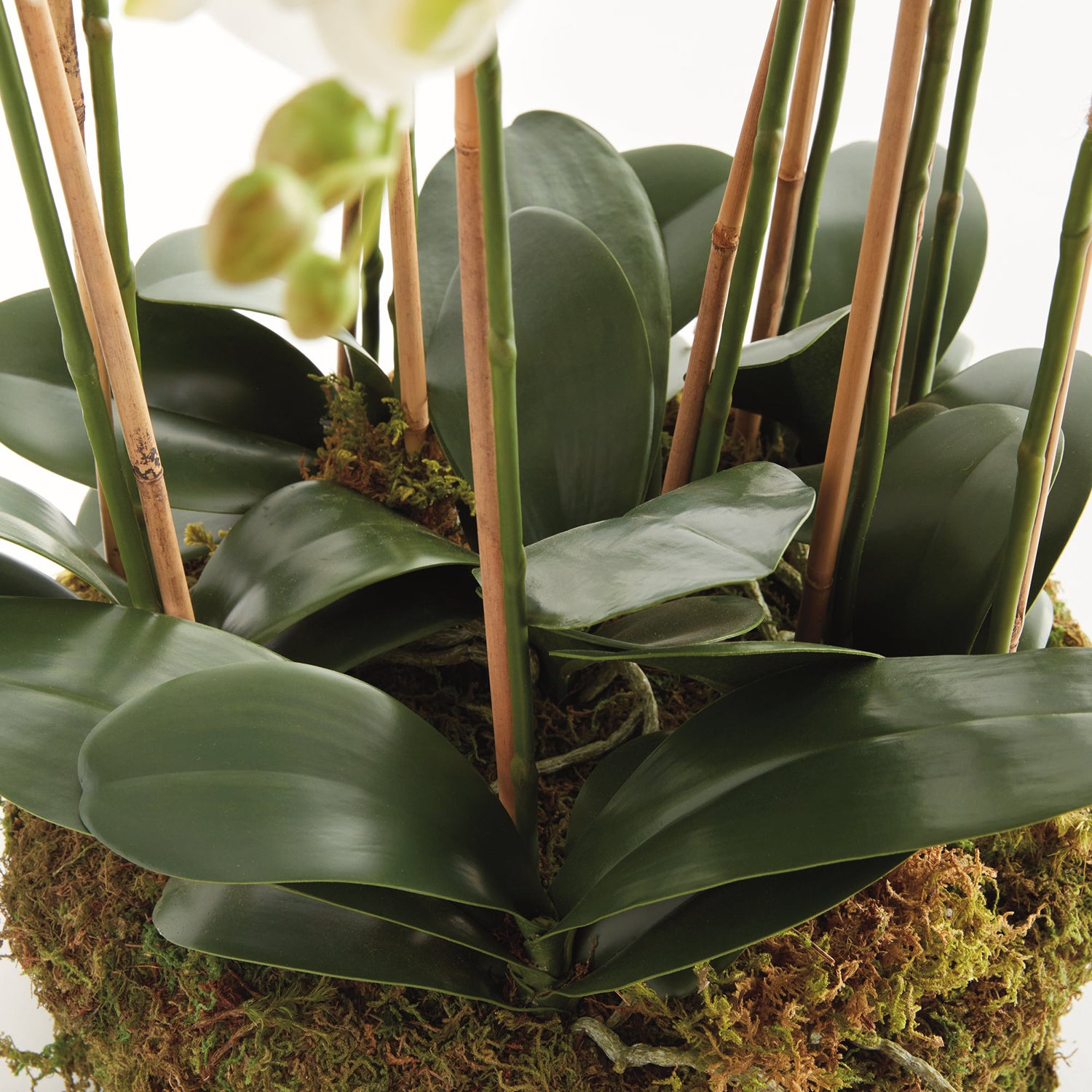 Phalaenopsis Orchid Bowl Drop-in 35in Faux Plant