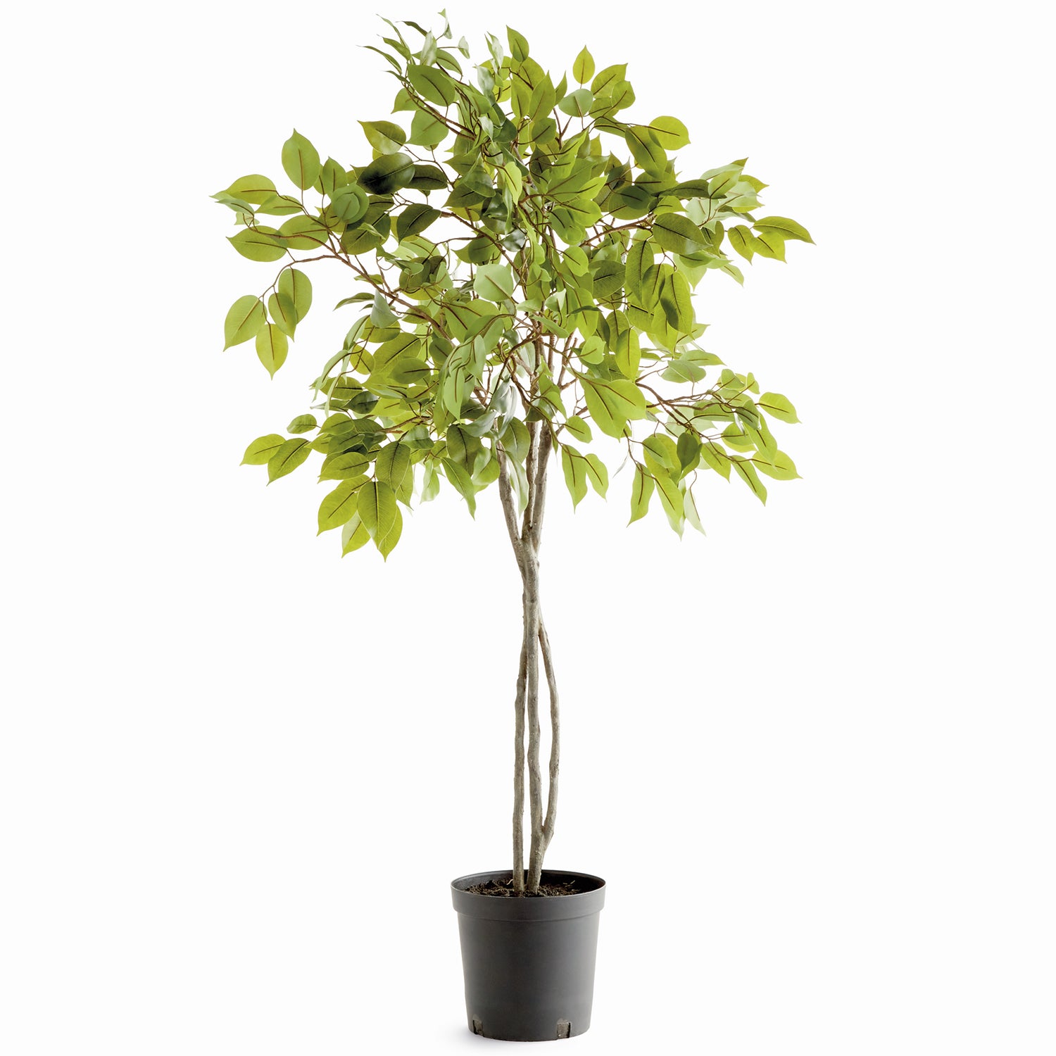 Ficus Tree 51in Drop-In Faux Plant