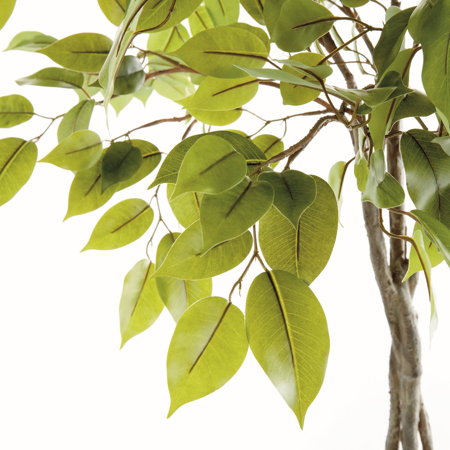Ficus Tree 51in Drop-In Faux Plant