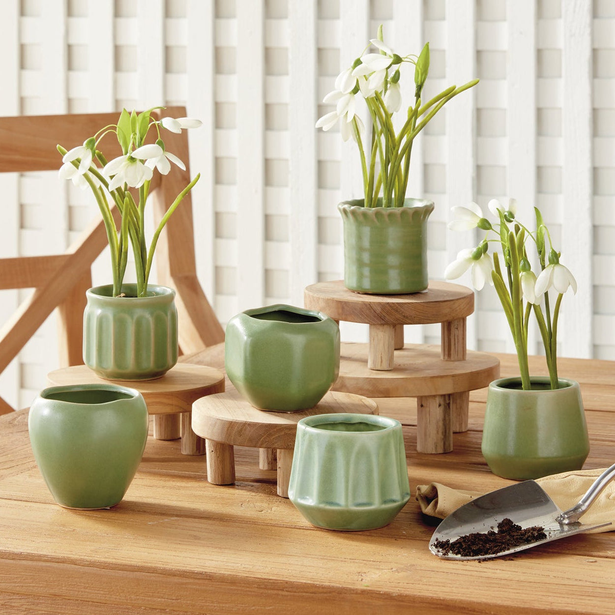 Dezie Mini Pot Set of 6