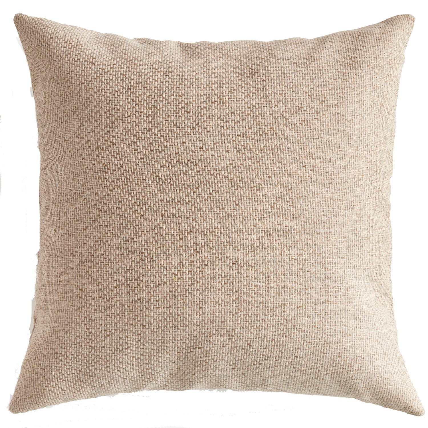 Blake Square Indoor/Outdoor Pillow