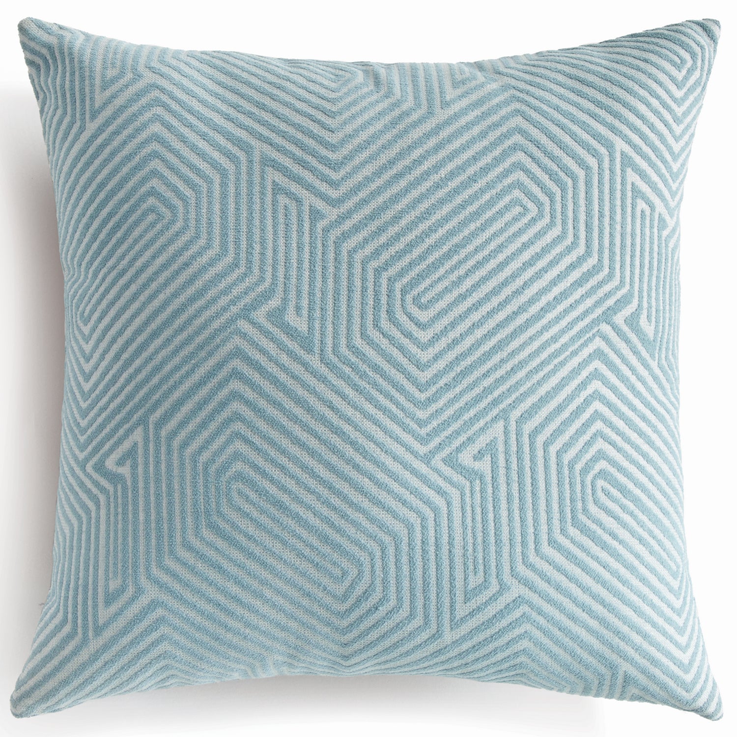Sasha Indoor/Outdoor Pillow