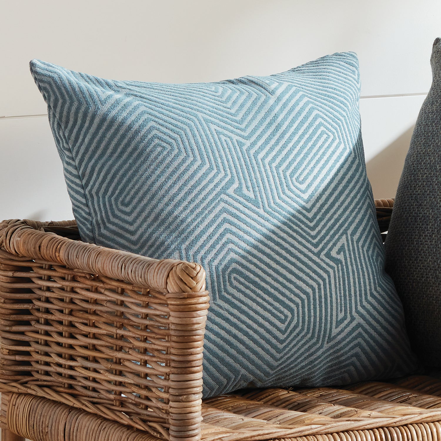 Sasha Indoor/Outdoor Pillow