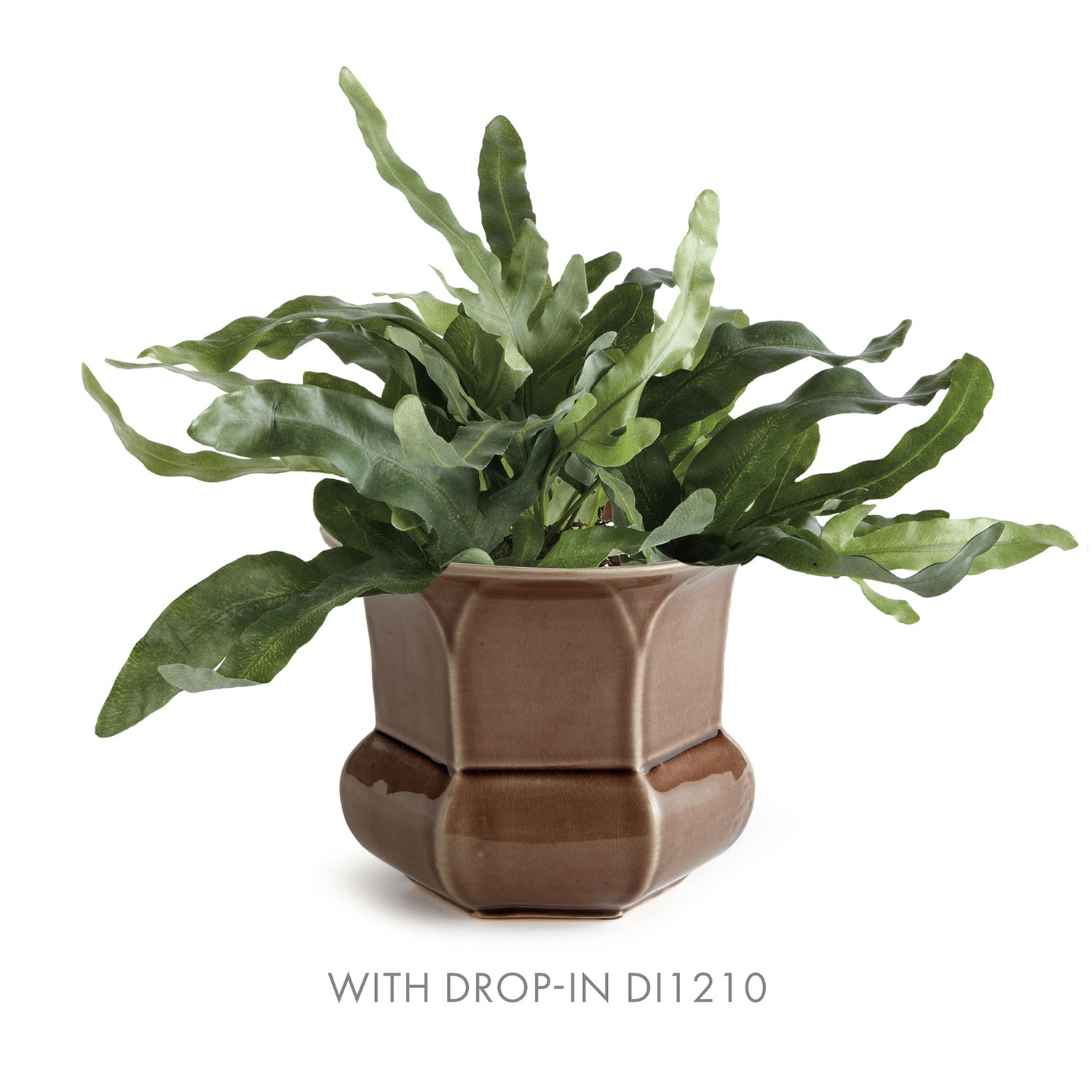 Madison Pot