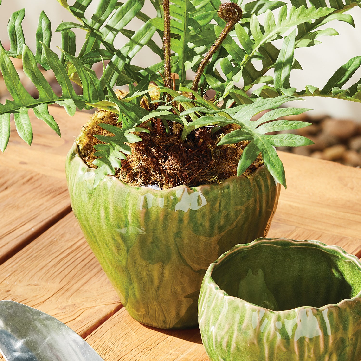 Evelyn Large Pot