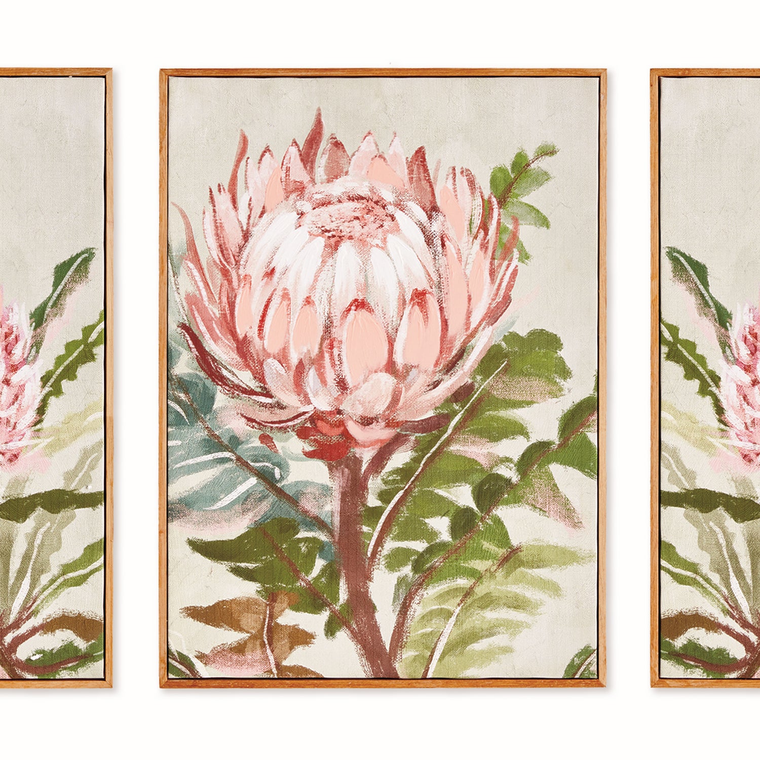 Queen Protea Gicless Wall Artwork Set of 3