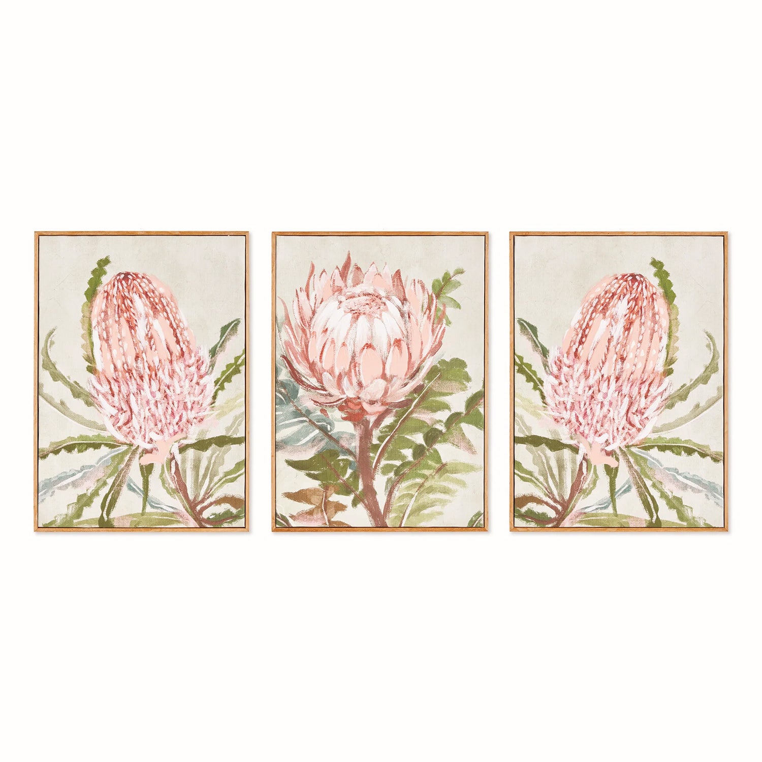 Queen Protea Gicless Wall Artwork Set of 3