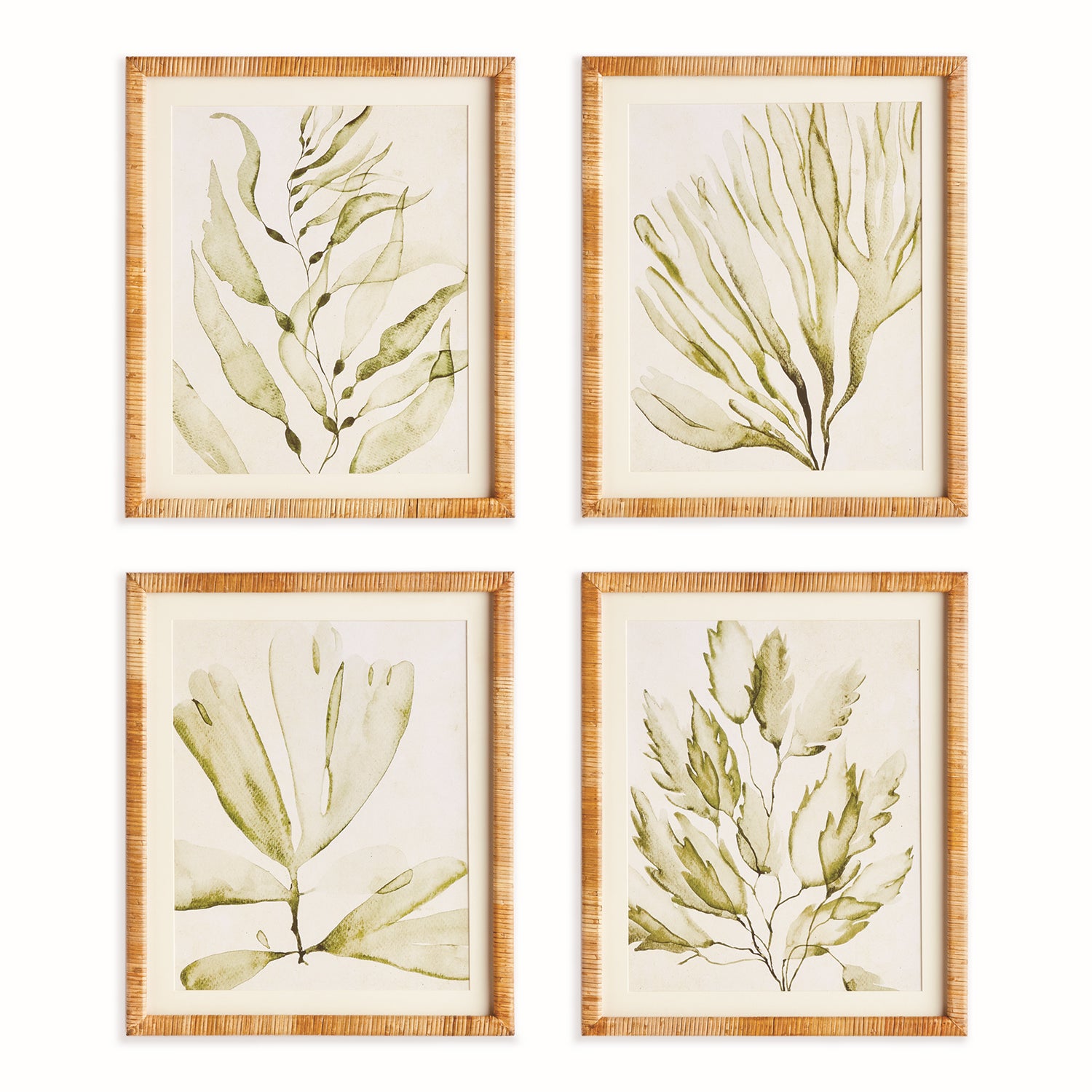 Coastal Greenery Prints Set of 4
