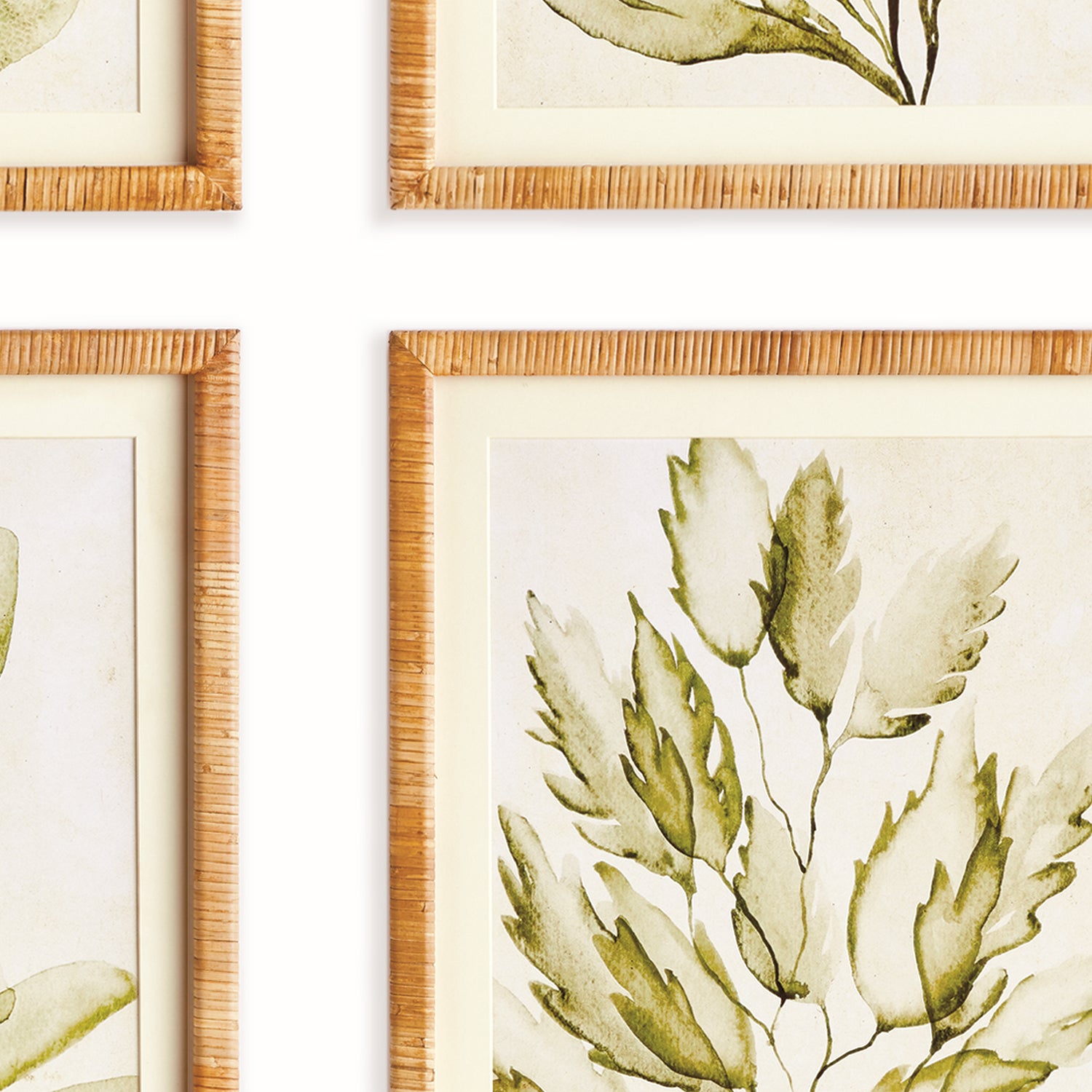 Coastal Greenery Prints Set of 4