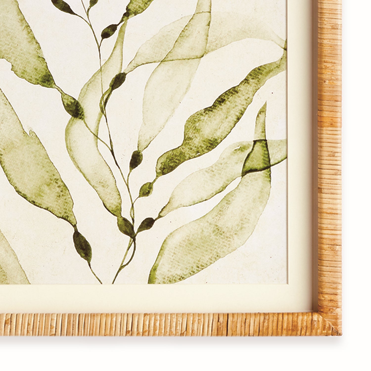Coastal Greenery Prints Set of 4