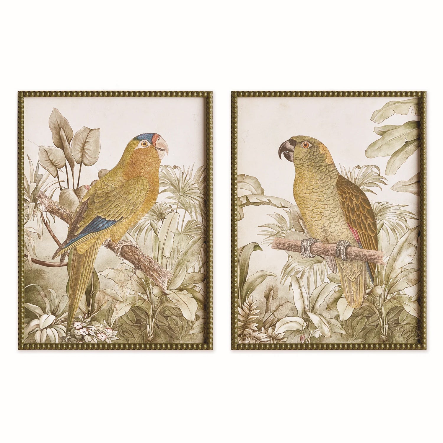 Tropical Parrot Print Wall Art Set of 2