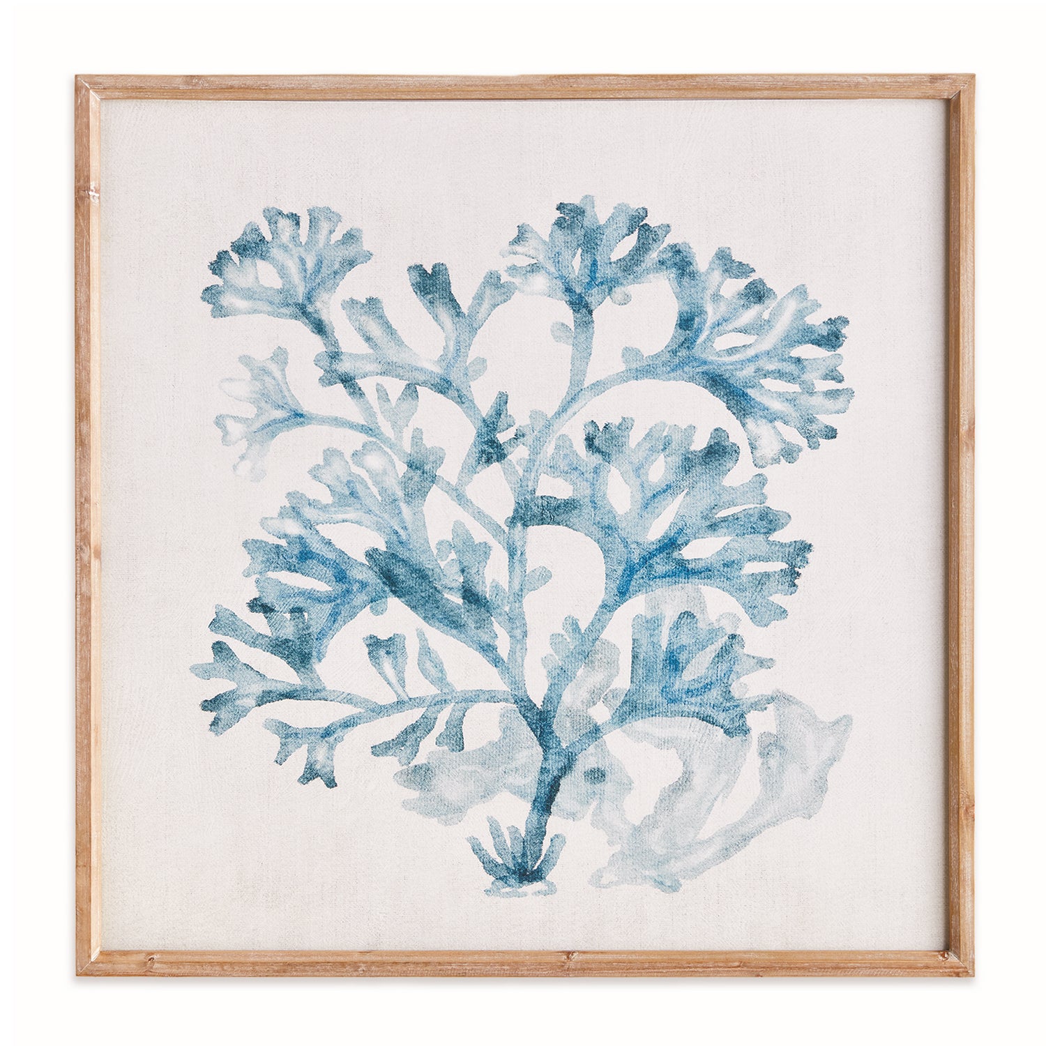 Translucent Coral Print Wall Art