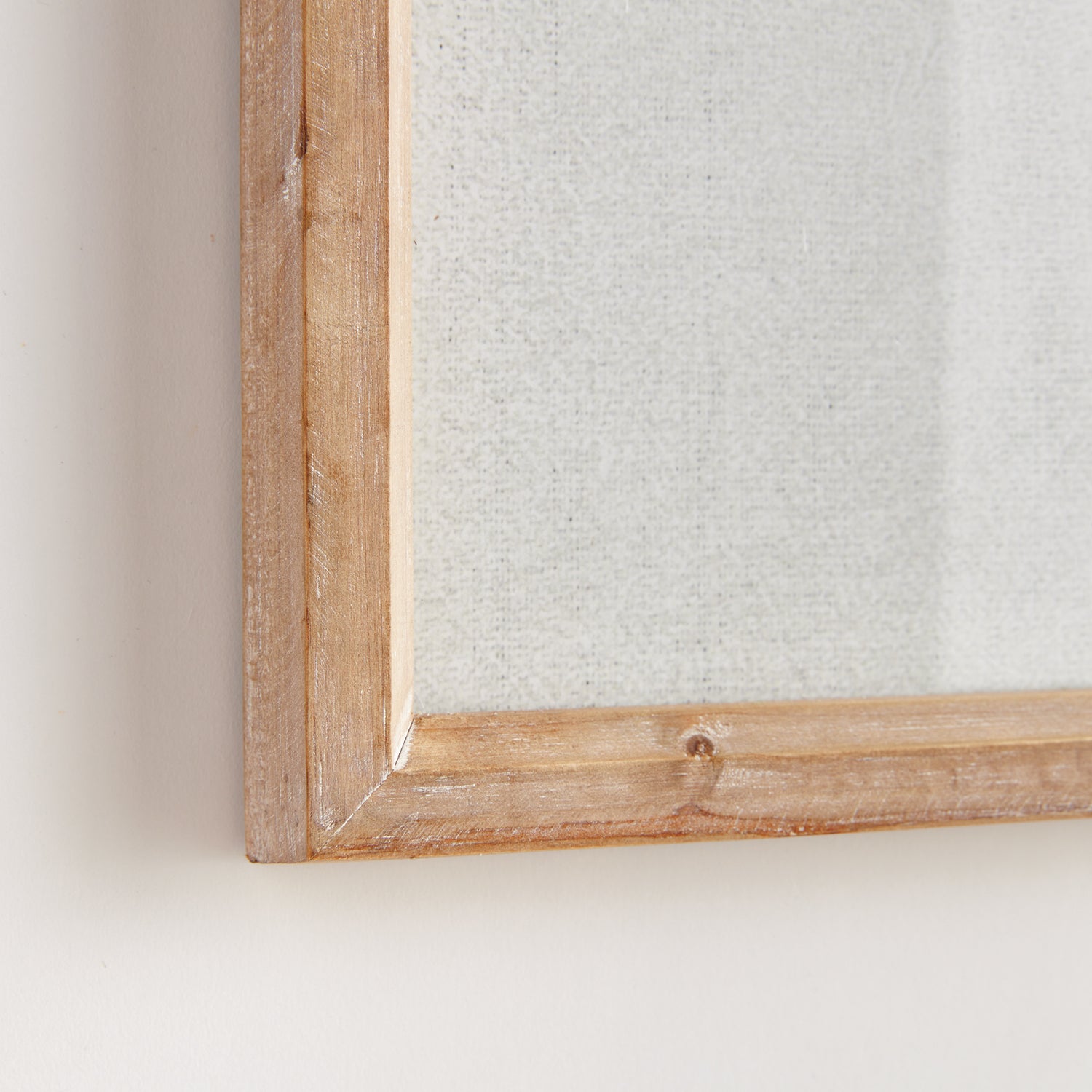 Translucent Coral Print Wall Art