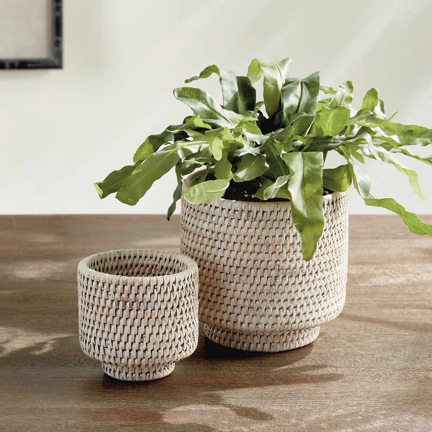 Burma Rattan Cachepot Set of 2