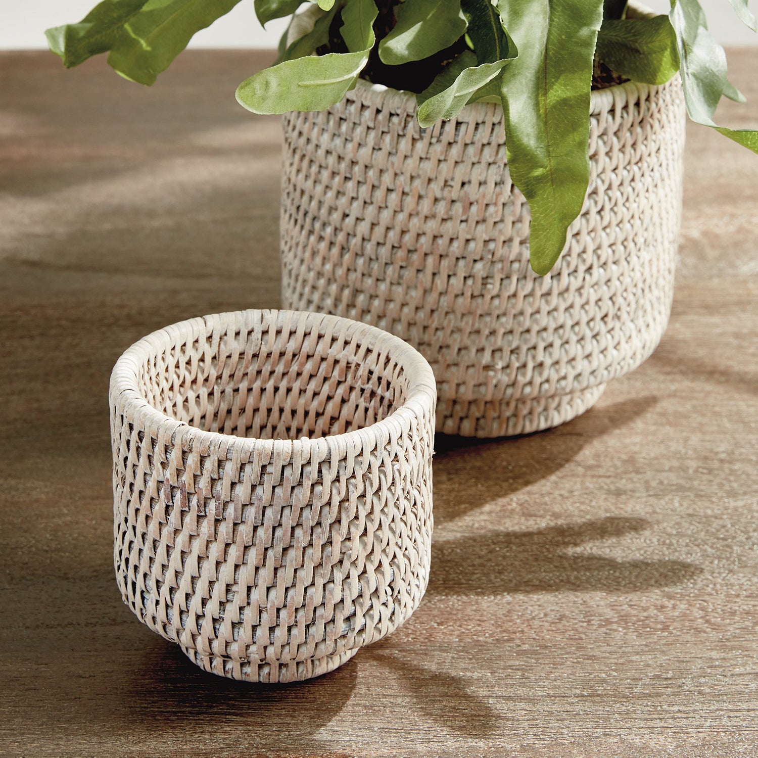 Burma Rattan Cachepot Set of 2