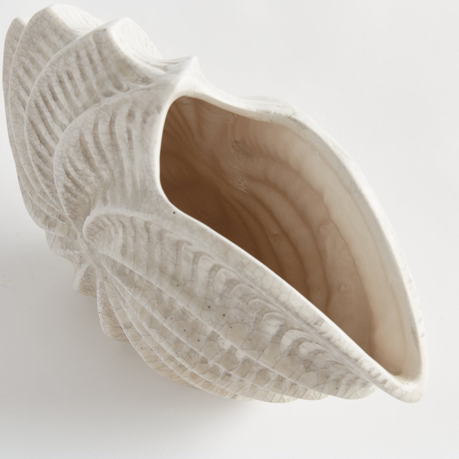 Nautilus Shell Vase