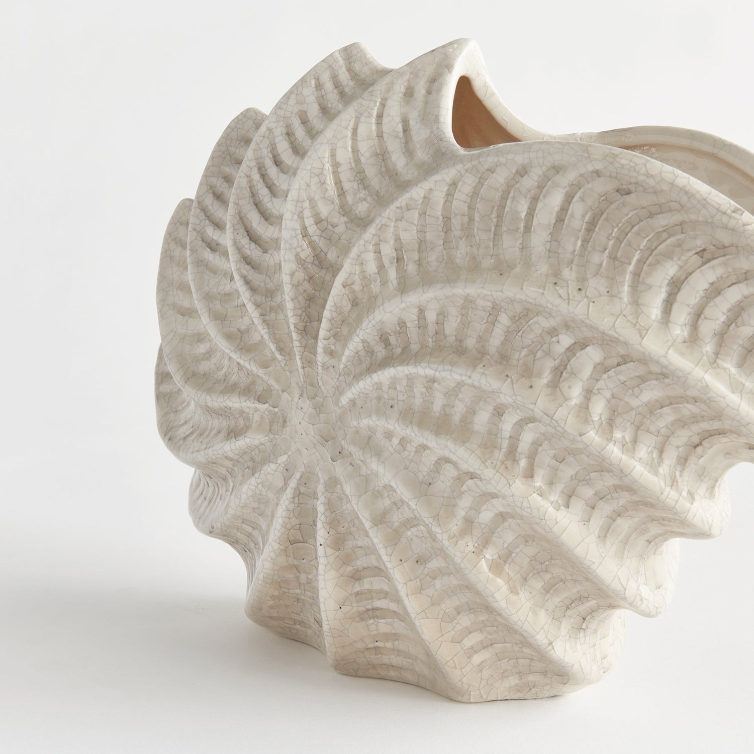 Nautilus Shell Vase