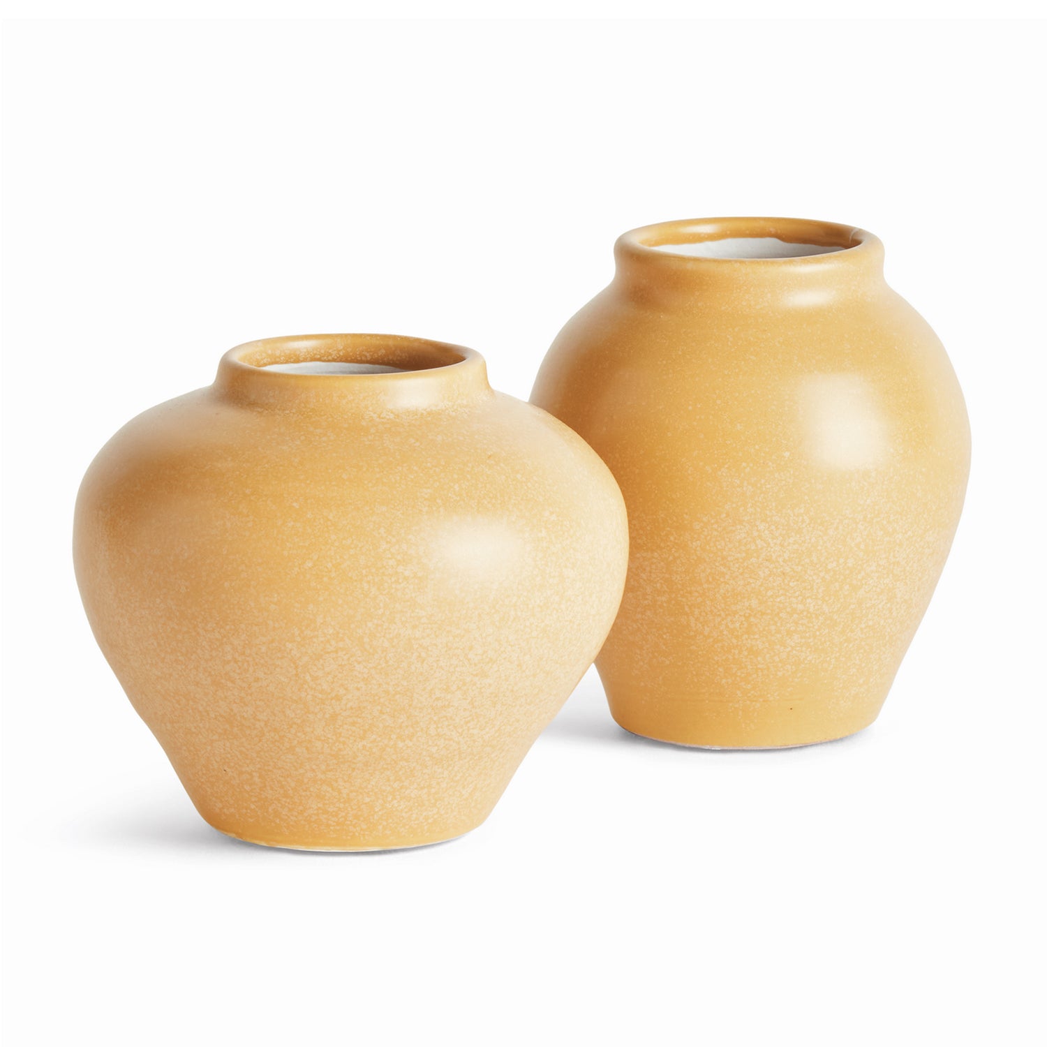 Safrin Bud Vase Set of 2