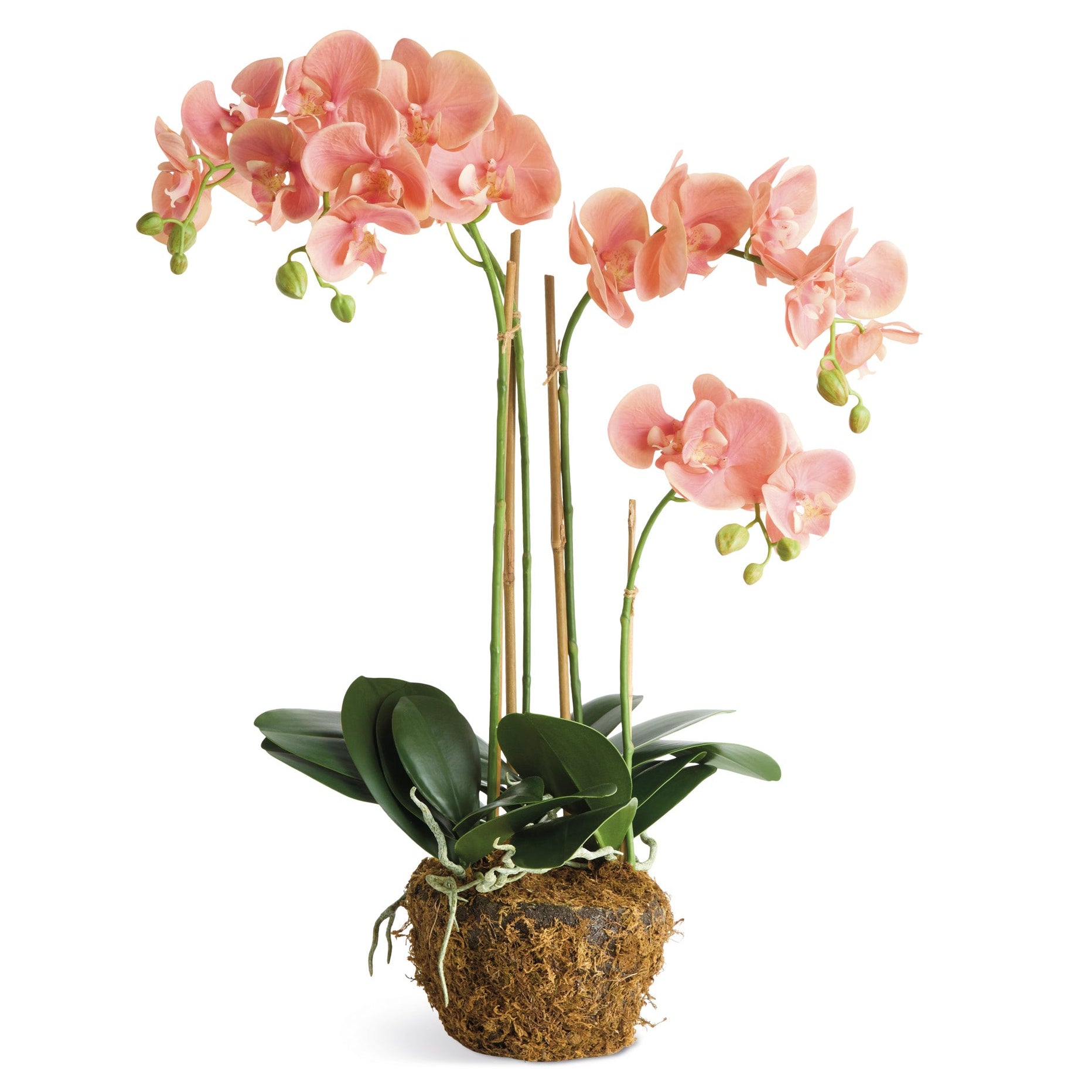 Phalaenopsis Orchid 30in Drop-In Faux Plant