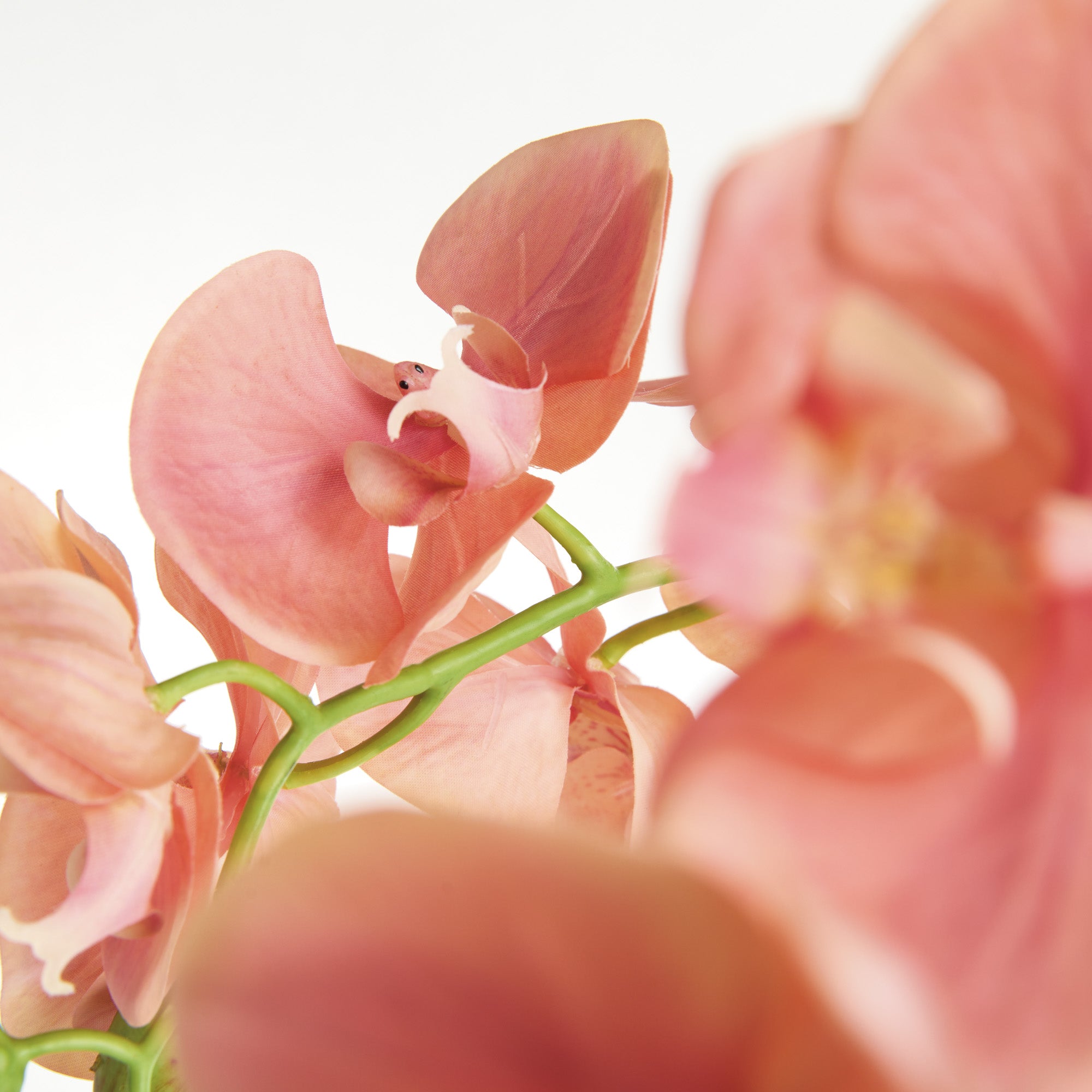 Phalaenopsis Orchid 30in Drop-In Faux Plant