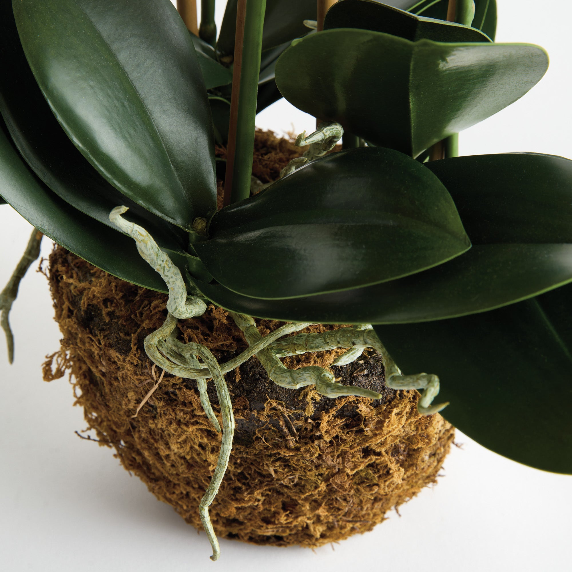 Phalaenopsis Orchid 30in Drop-In Faux Plant