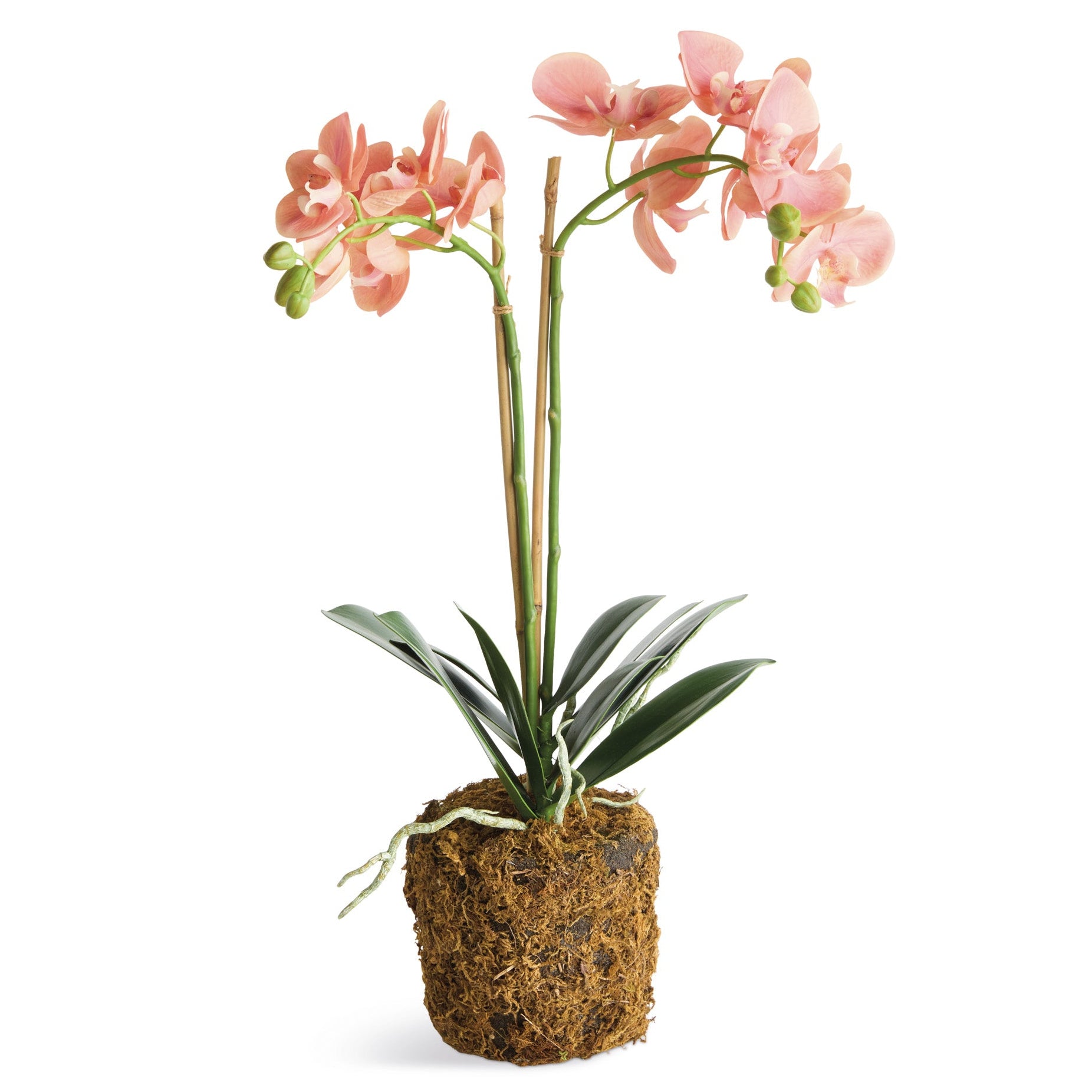 Phalaenopsis Orchid 23in Drop-In Faux Plant