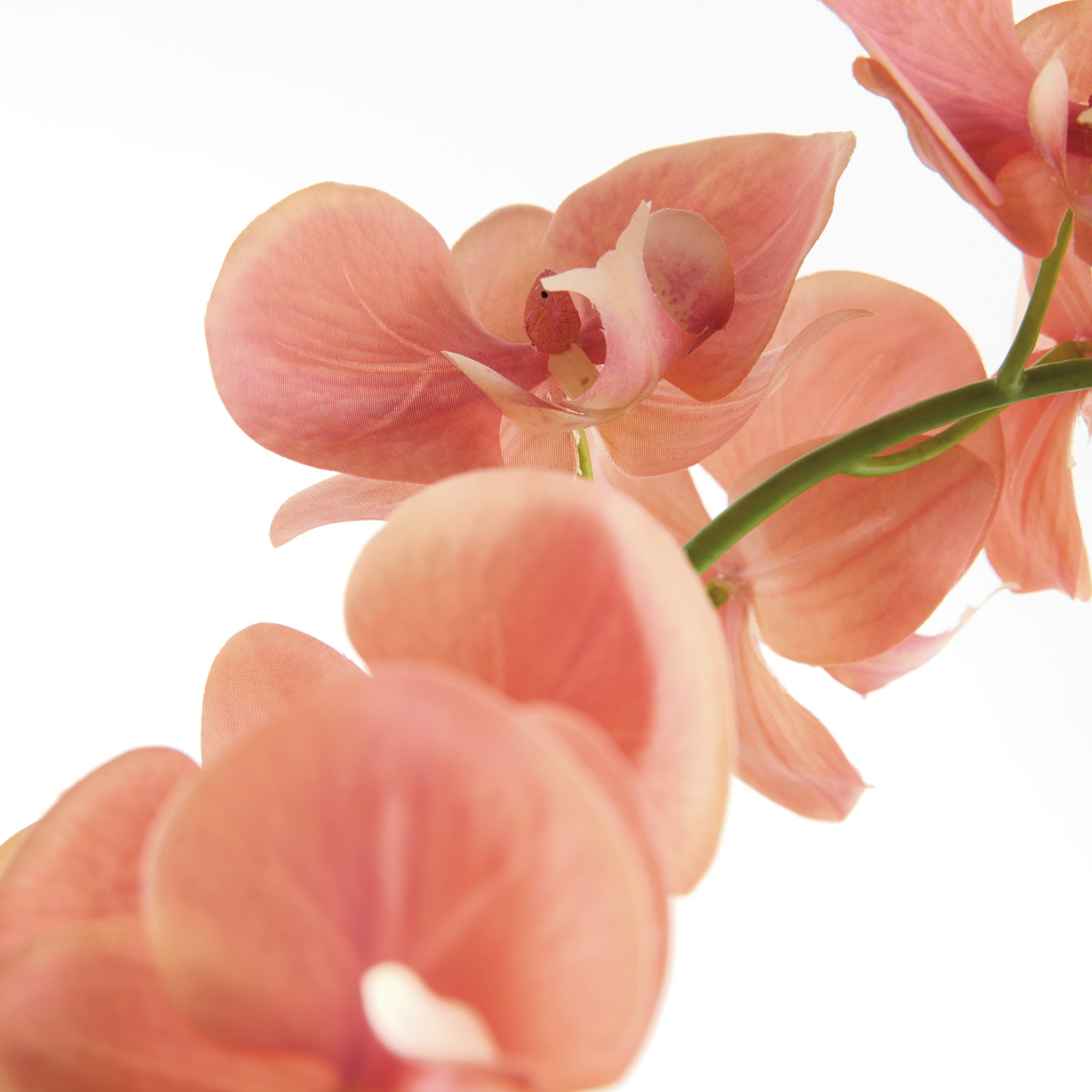 Phalaenopsis Orchid 23in Drop-In Faux Plant